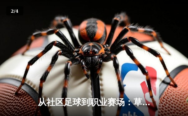 从社区足球到职业赛场：草根运动员的逆袭之路与制度困境 - 2